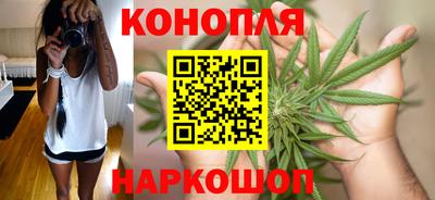 Альфа ПВП Можайск