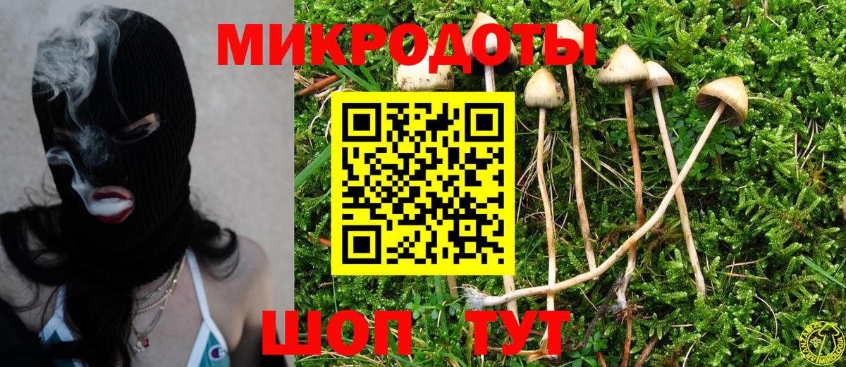 Галлюциногенные грибы Magic Shrooms  Вход с VPN  Тверь 