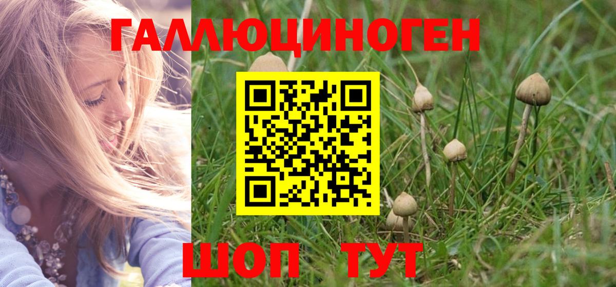 ГАШ  Тверь  Конопля  Вход с VPN  А ПВП СК кристаллы  Мефедрон кристаллы  Гашиш 