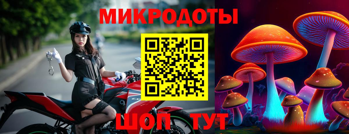 Псилоцибиновые грибы мухоморы Тверь